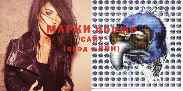 индика Краснотурьинск