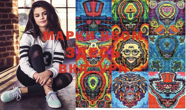 индика Краснотурьинск