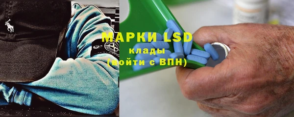 индика Краснотурьинск