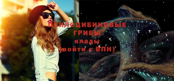 индика Краснотурьинск