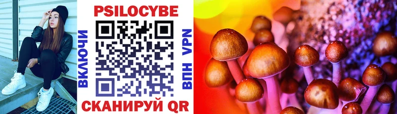 Купить закладки  Миасс  Псилоцибиновые грибы MAGIC MUSHROOMS 